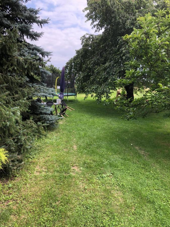 Fewo Rehbach Leipzig Bagian luar foto